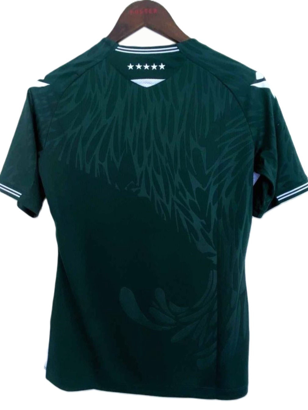 Camiseta Mujer Santiago Wanderers 2022